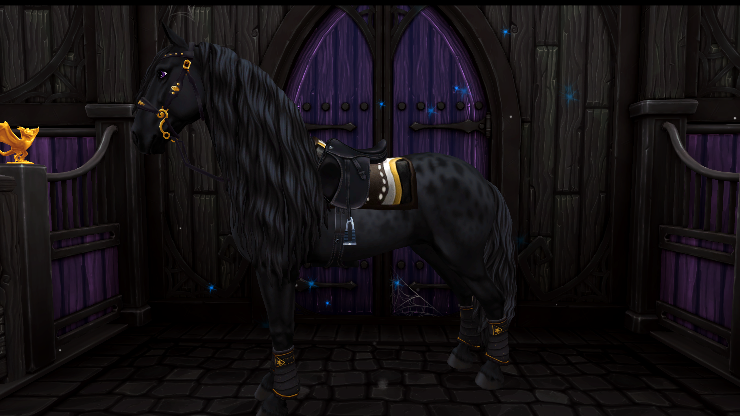 Pferd Outfit
